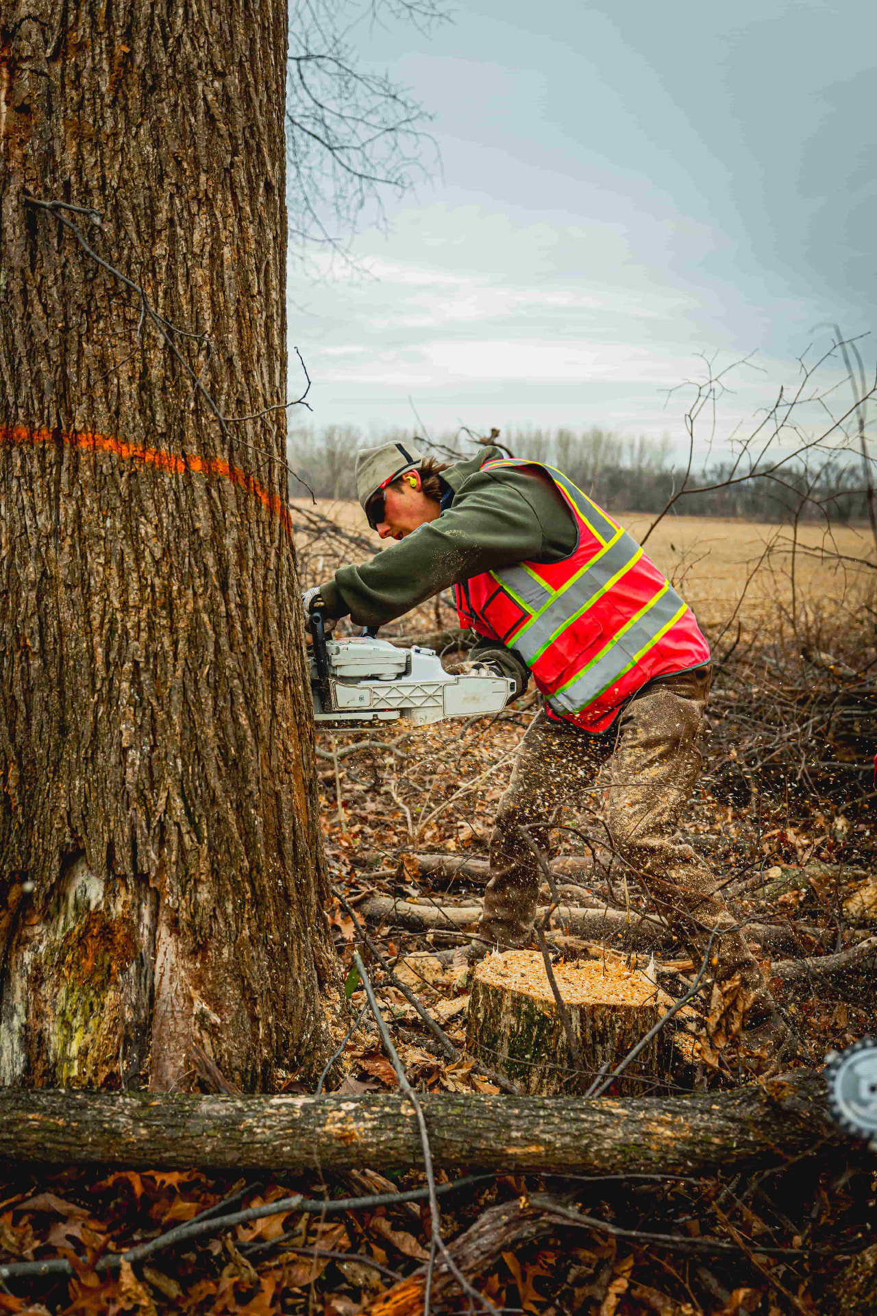 Tree Care project